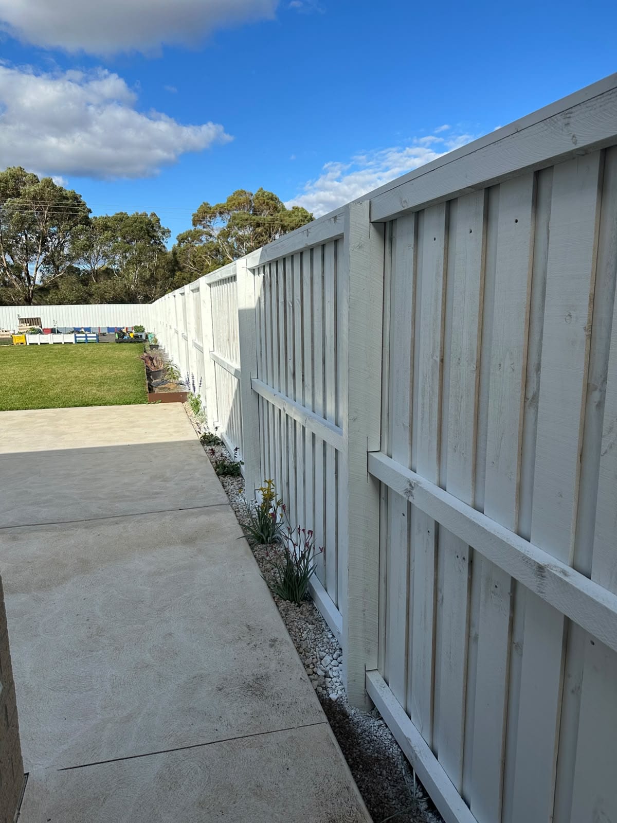 Perimeter timber paling fence spray-painted in clean white